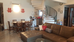 Stratford Court (D16), Condominium #158250682